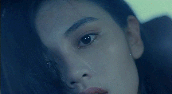 560_306gif 动态图 动图