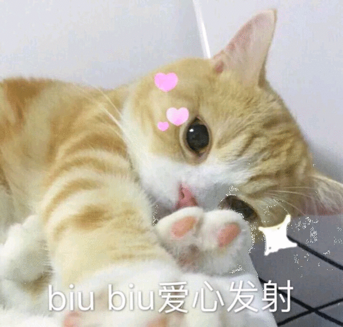 表情包 
