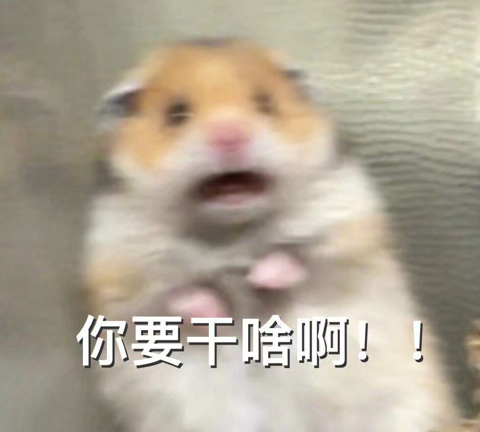 情侣表情包 情侣互怼 沙雕表情包 沙雕情侣