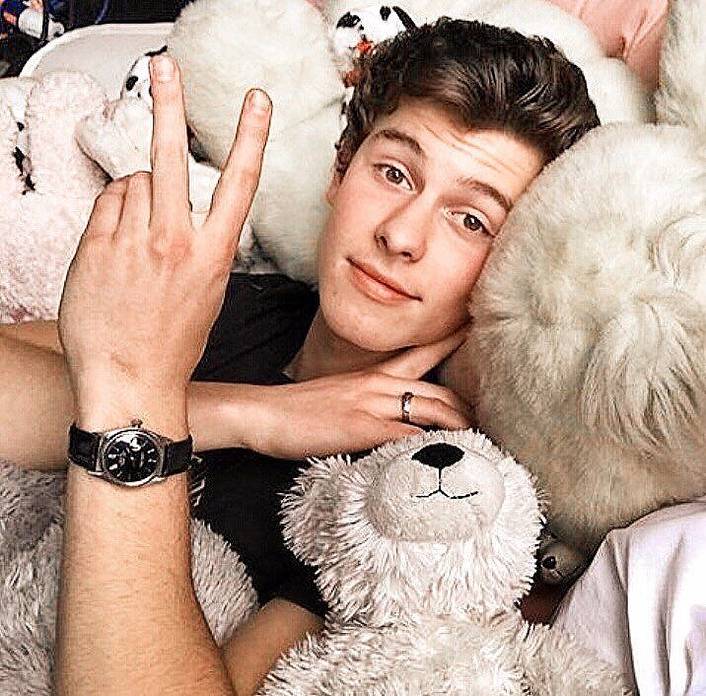shawn mendes