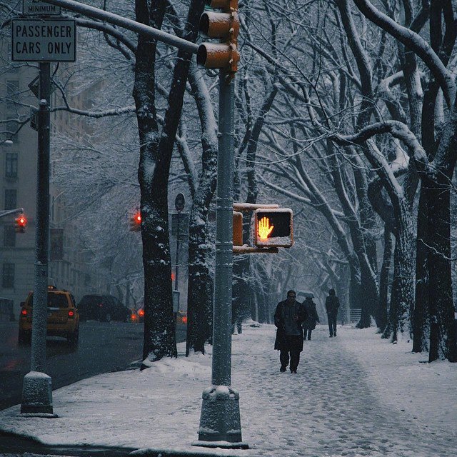 纽约的下雪天.ins:lakeu