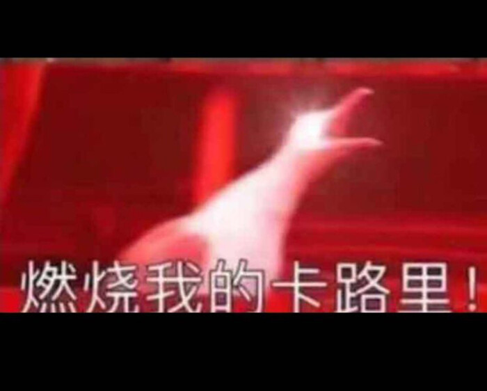 超拽的包厢表情搞笑图片订的图片
