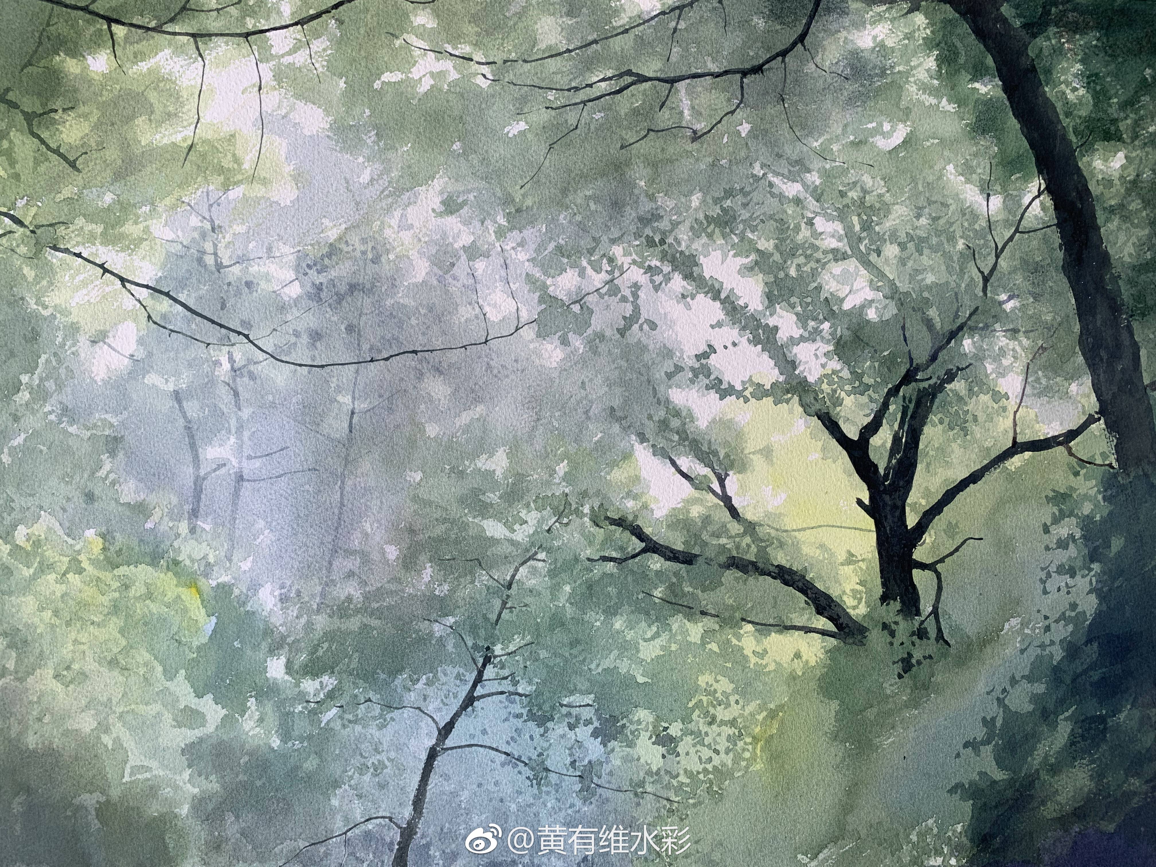虽然都是绿色却有微妙的变化,中景的灰绿色是画面的主要色调.
