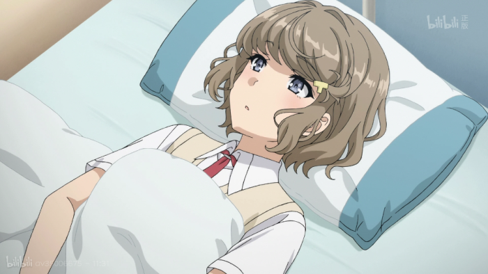 青春猪头少年不会梦到兔女郎学姐 古贺朋绘