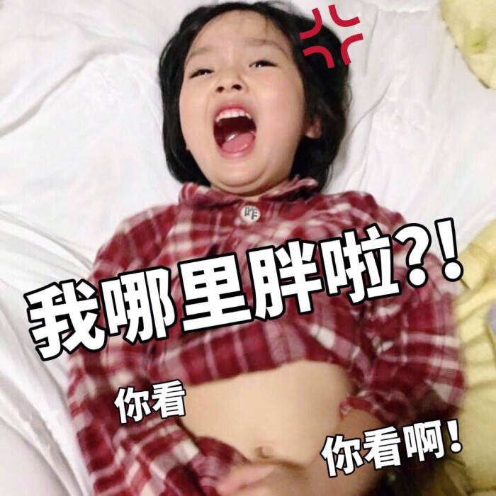 表情权律二可爱他我撩表情包图片