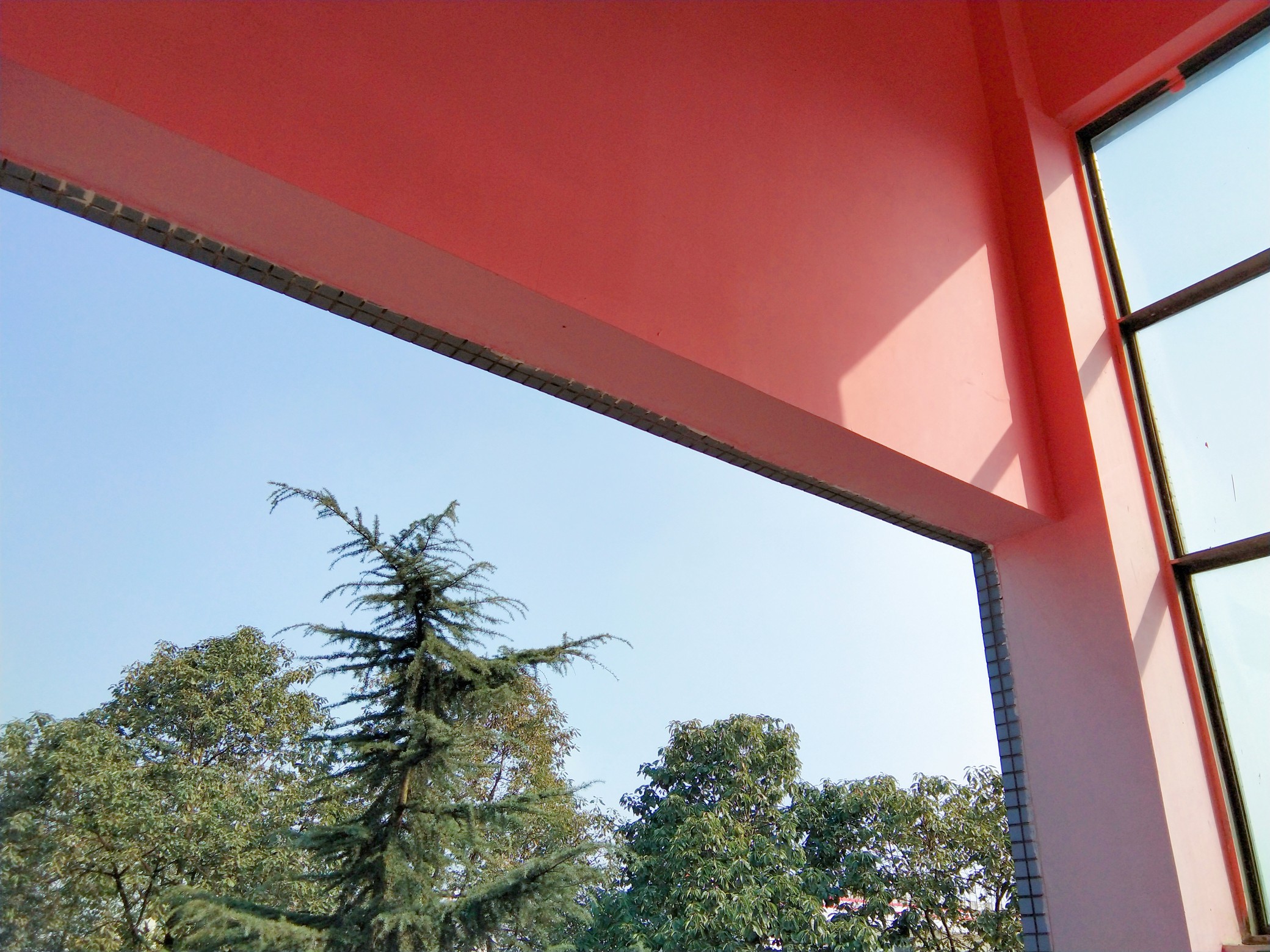 日常 粉色 小美好 校园 阳光 温暖 可爱 甜甜的今日份的可爱