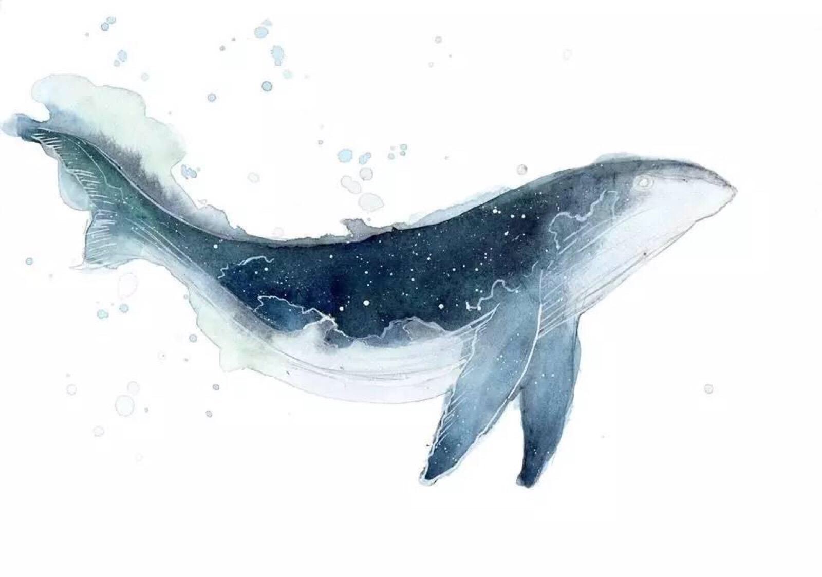 鲸鱼壁纸动漫唯美图片