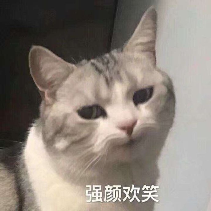 无系列单图战斗力爆喜欢情,老规矩有表表性表情包图女性动态的图片