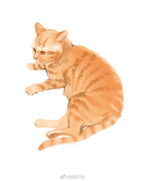 猫咪 手帐素材 插画 手绘 彩绘 头像