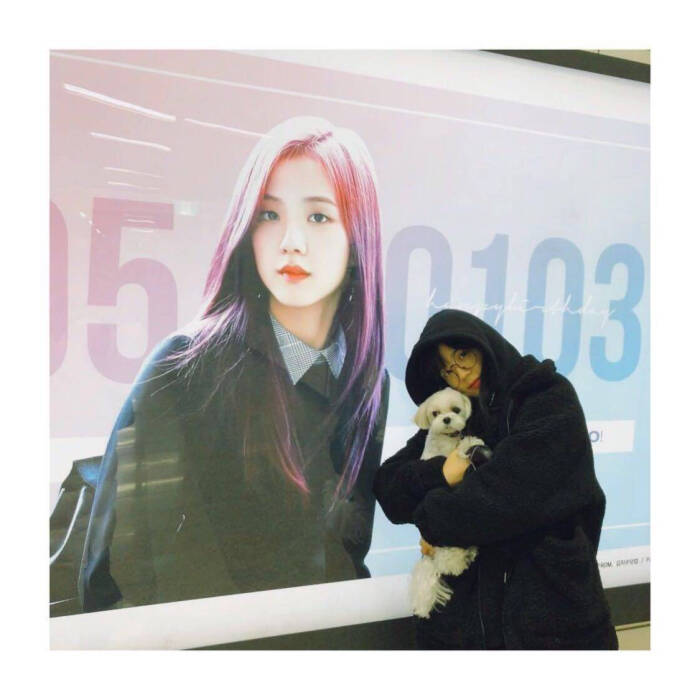 lisoo