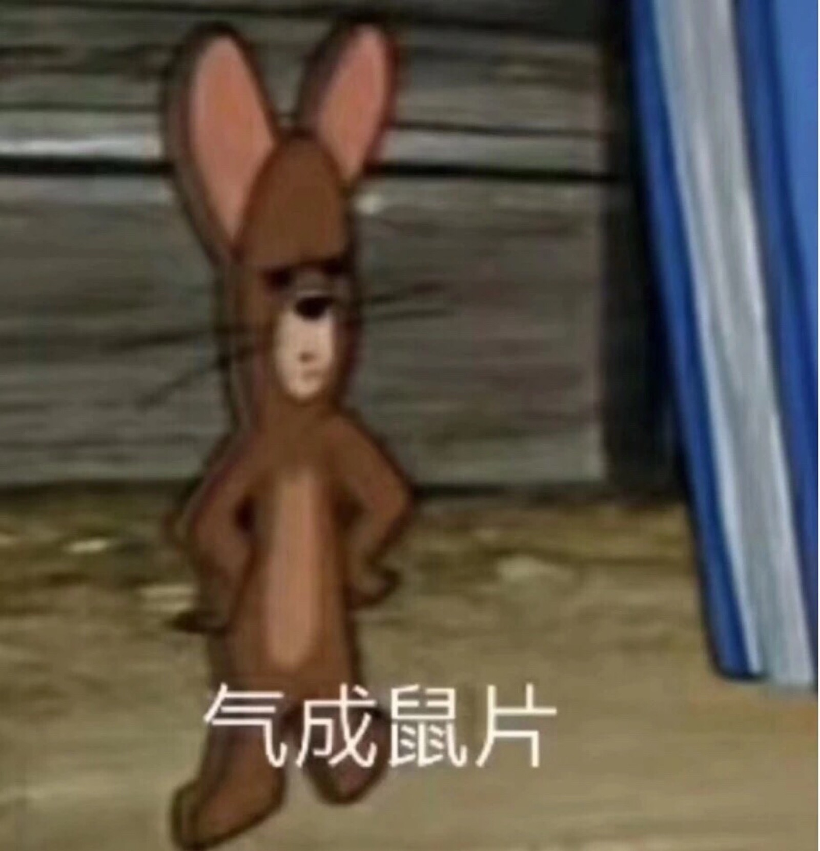 猫和老鼠 汤姆和杰瑞 tom 撩妹专属表情包