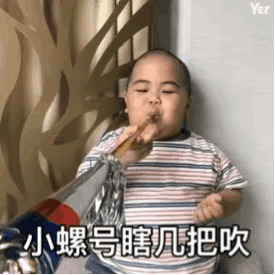 韩国一个小胖孩表情包图片