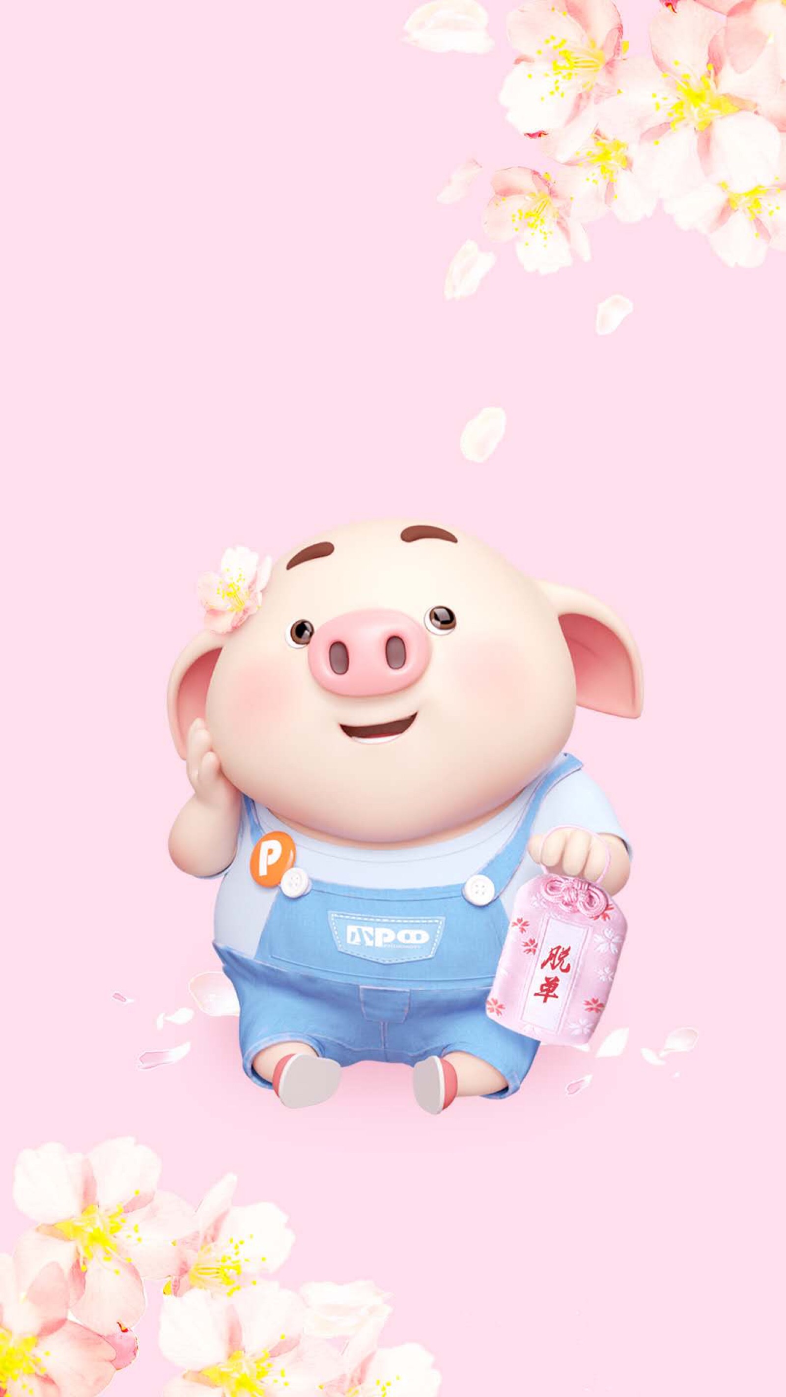 2019 猪猪猪