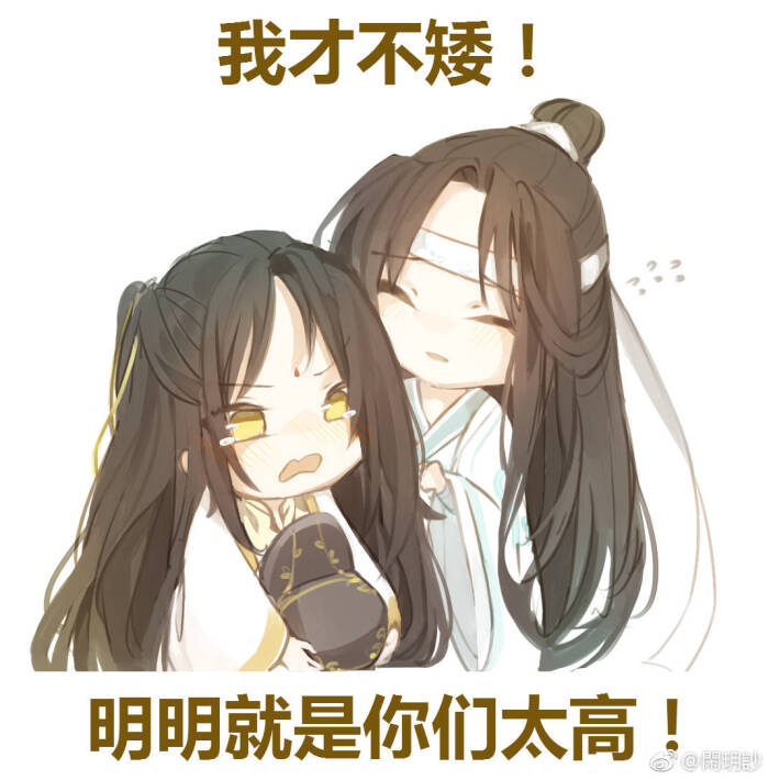 魏无羡,蓝忘机,金陵蓝思追