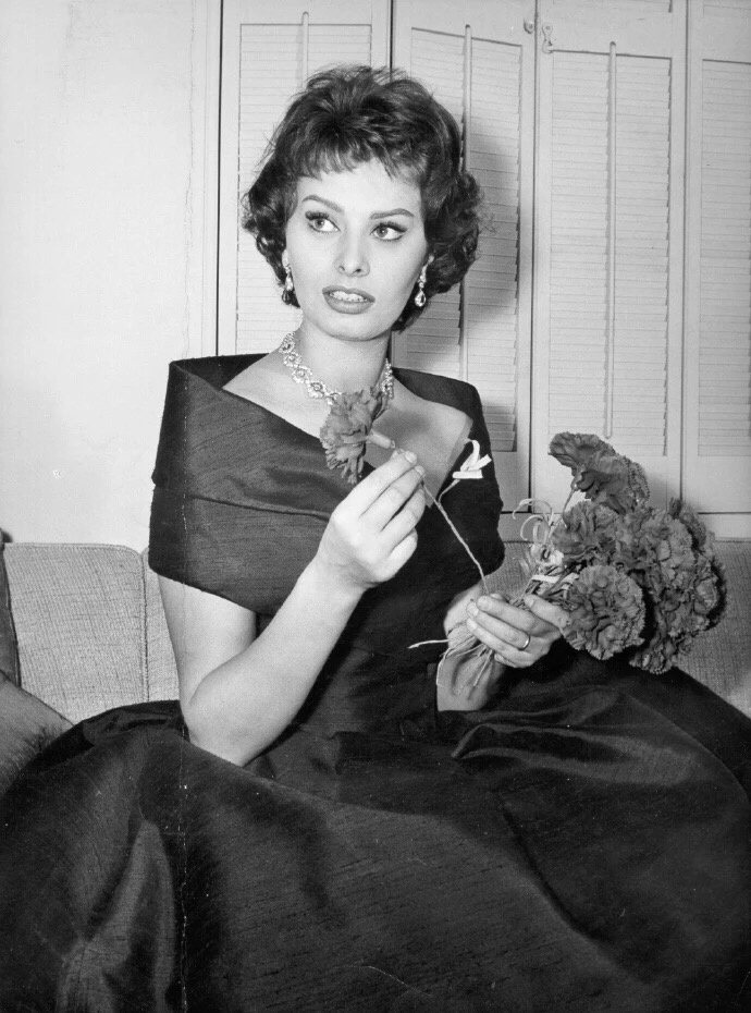 1962年,《vogue》杂志11月号封面人物:意大利影星索菲亚·罗兰(sophia