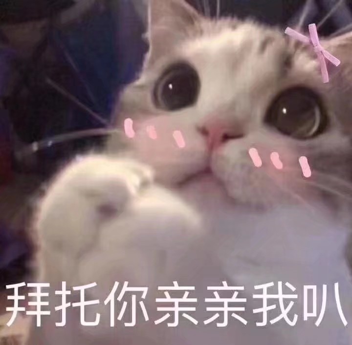 猫猫和动物表情包