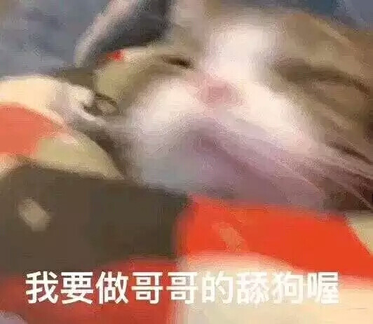 我要做哥哥的舔狗