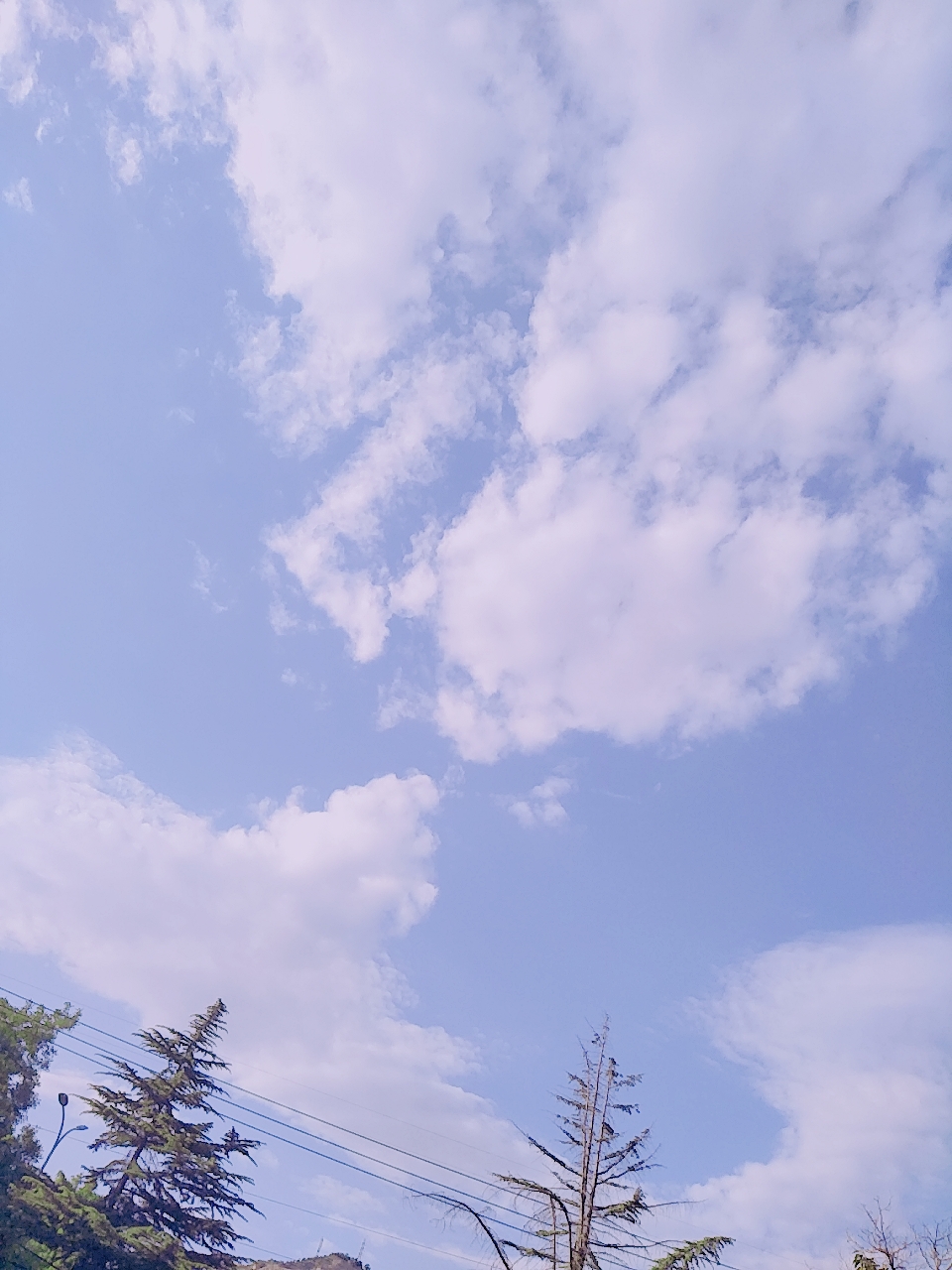 云朵er7373-堆糖,美好生活研究所
