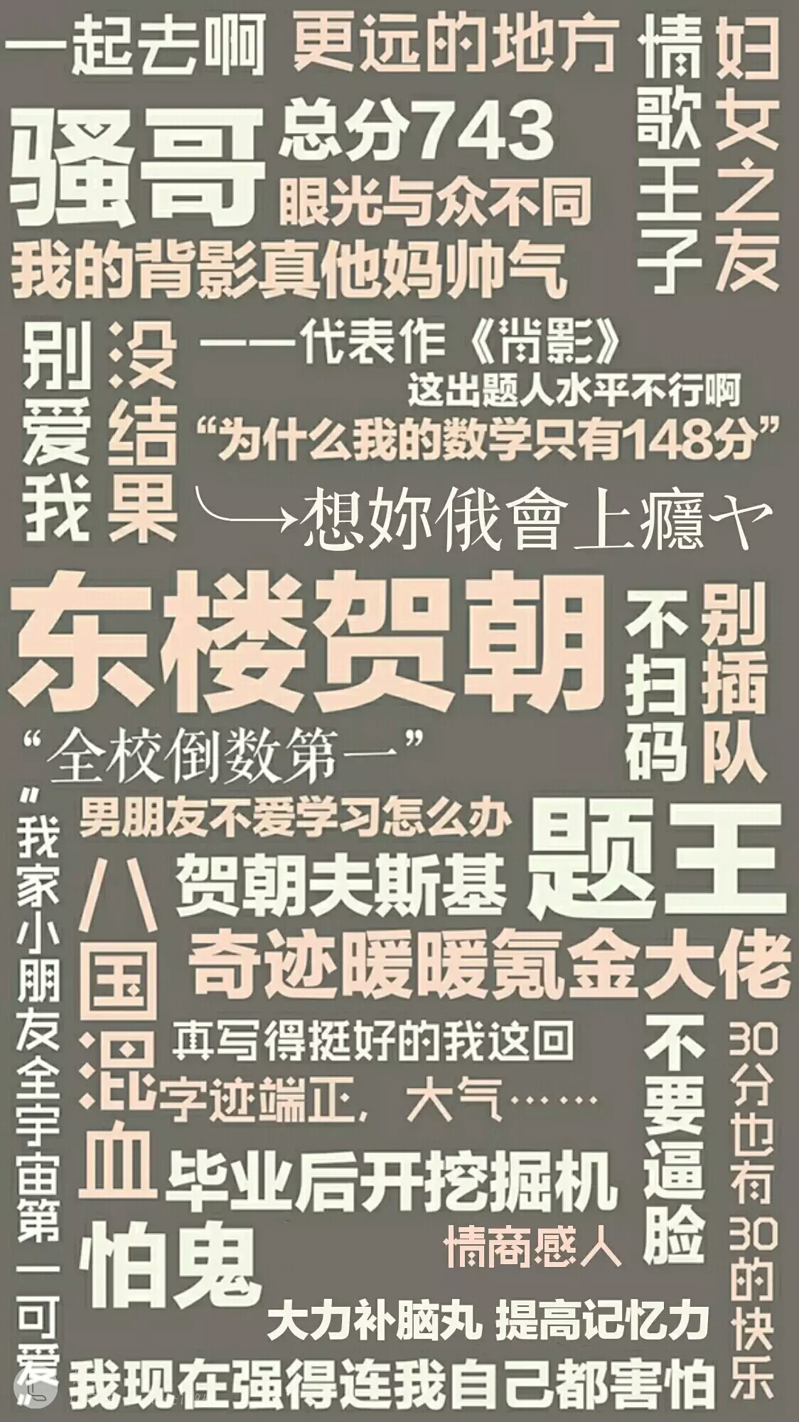 伪装学渣