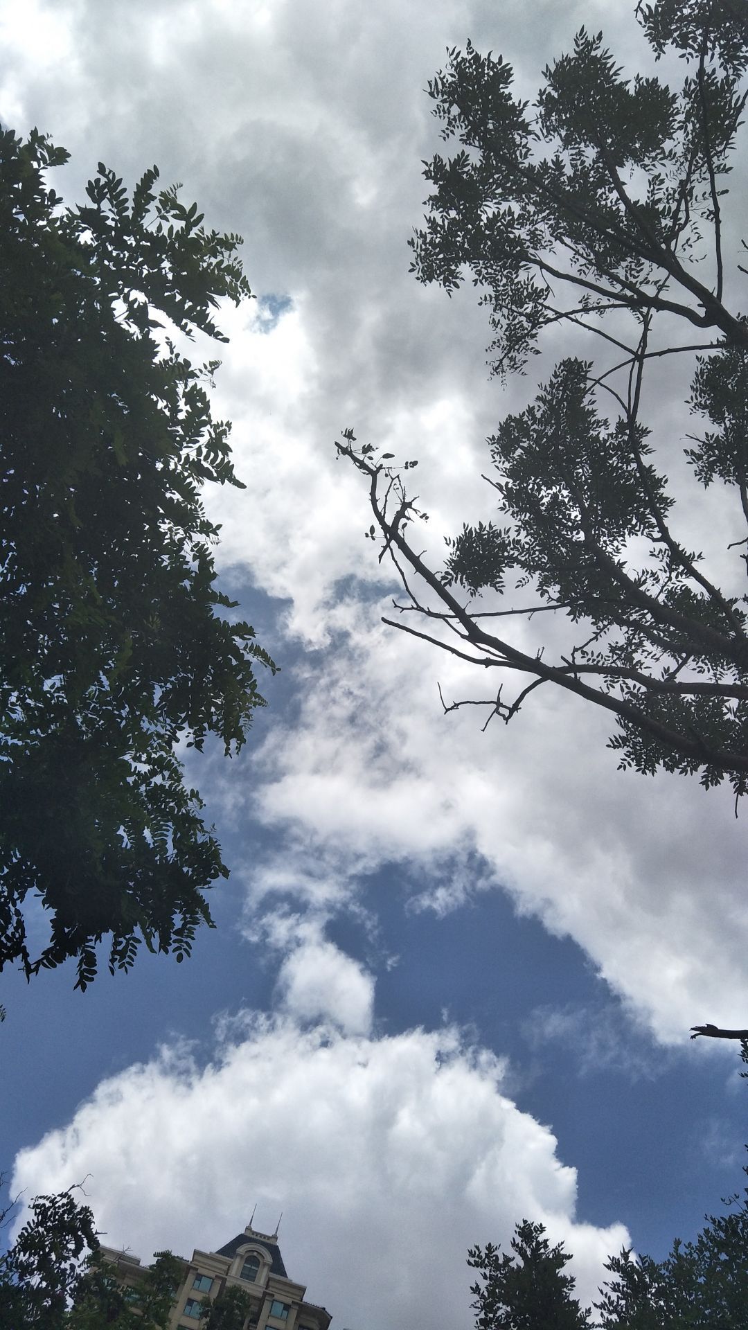 高清个性壁纸 手机壁纸 风景 天空 云 干净