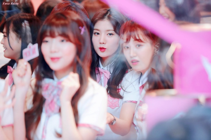 izone/权恩妃/权恩菲/权姐/女士/名人/兔子/eunbi logo