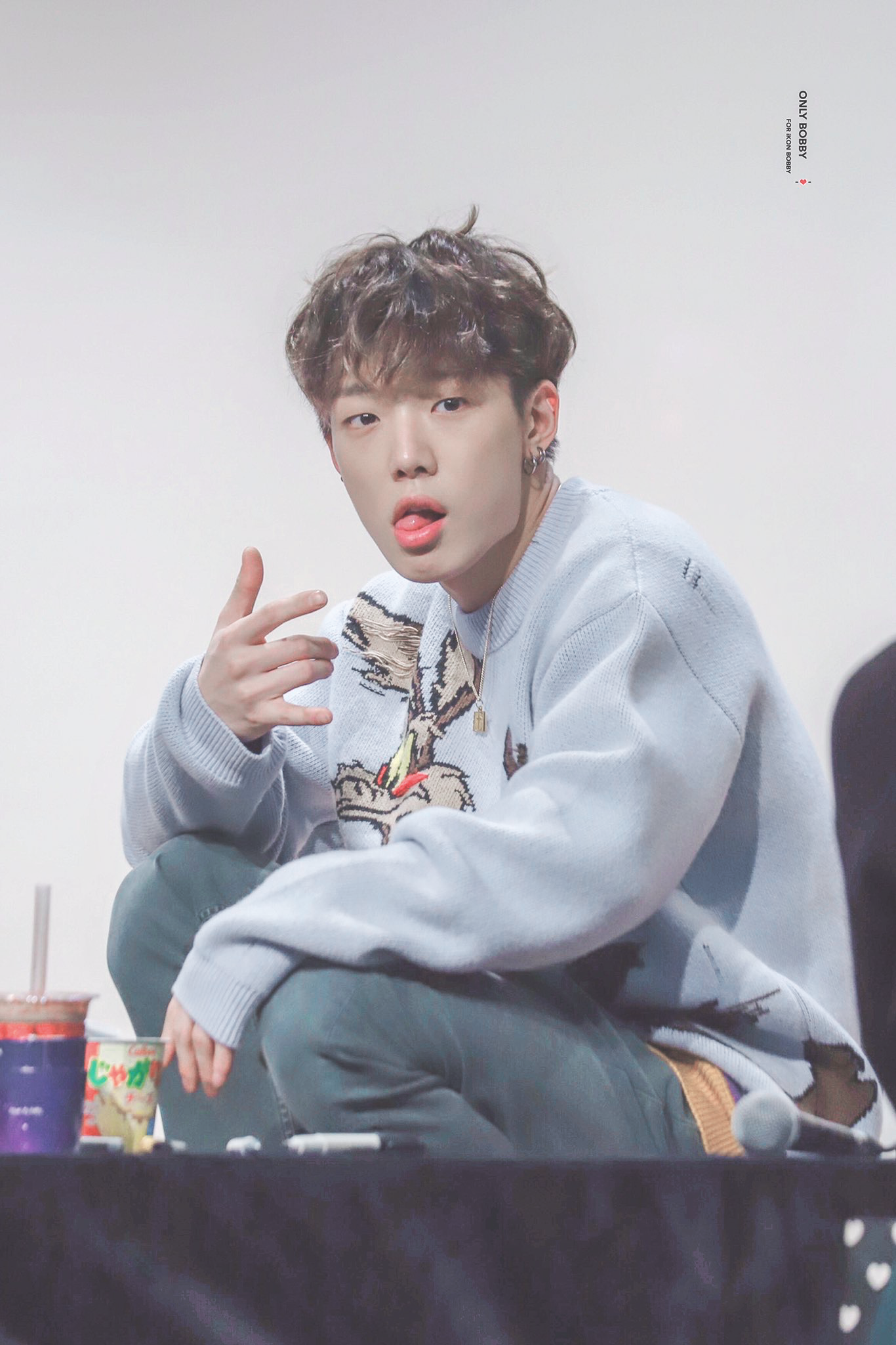 ikon bobby图片