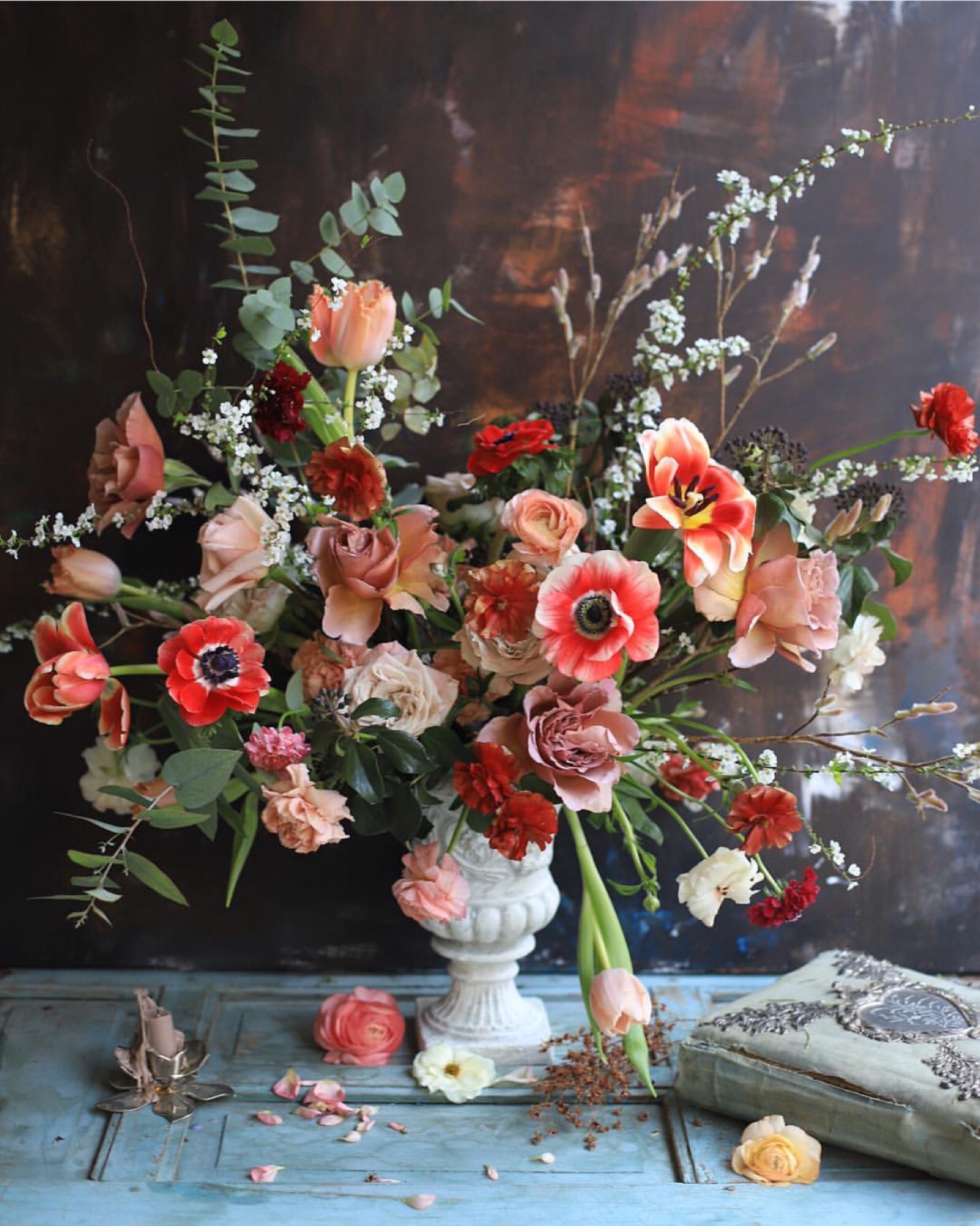 一花一世界 from ins