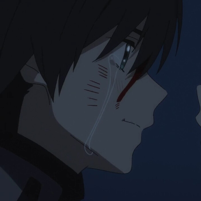 《darling in the franxx》