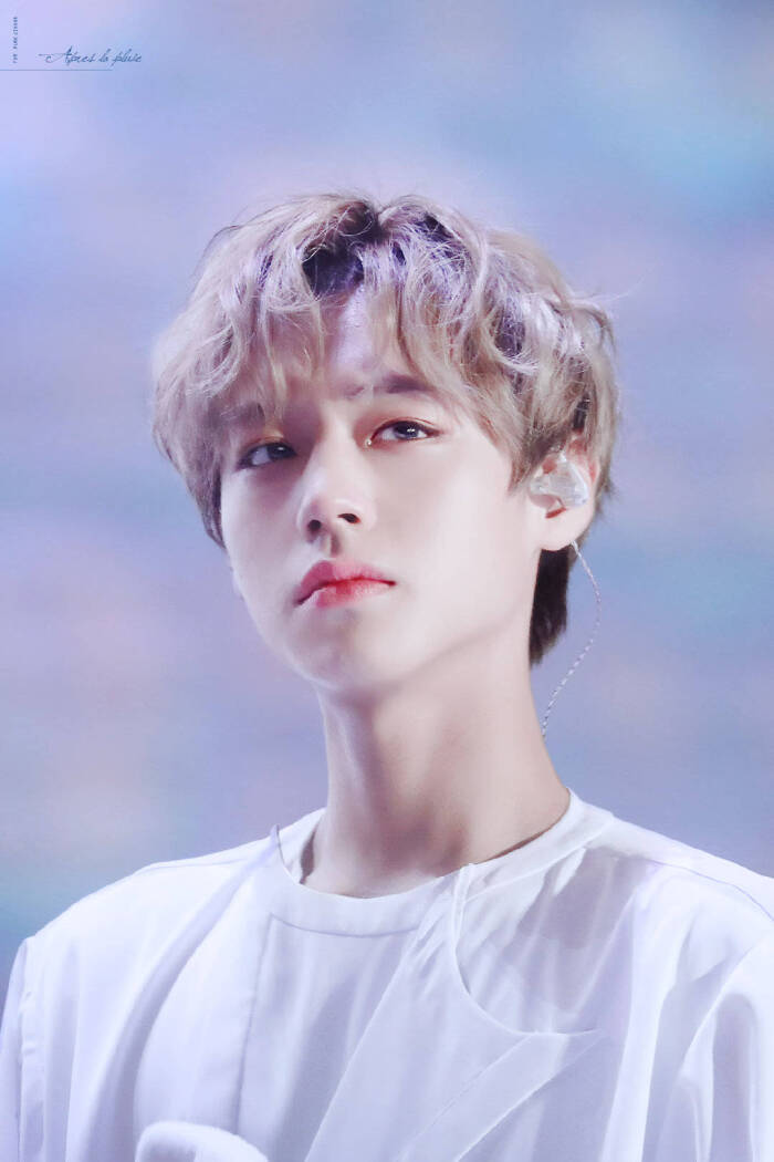 朴志训190127 wanna one therefore con day4高清壁纸/聊天背景/壁纸.