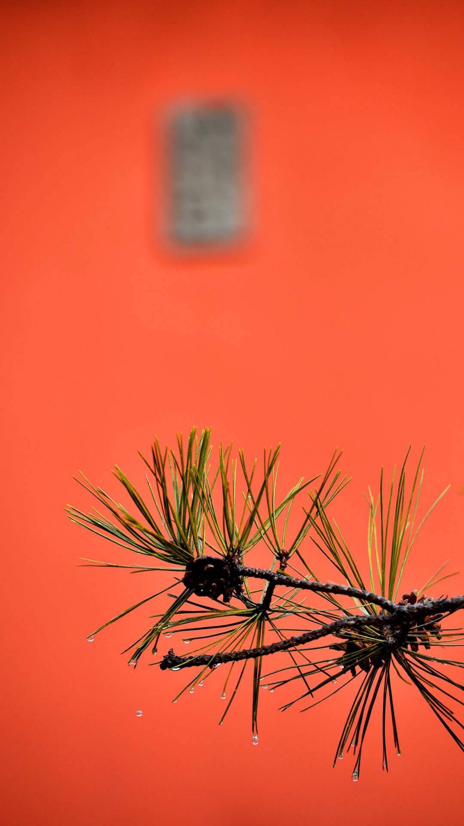 故宫二十四节气壁纸 雨水