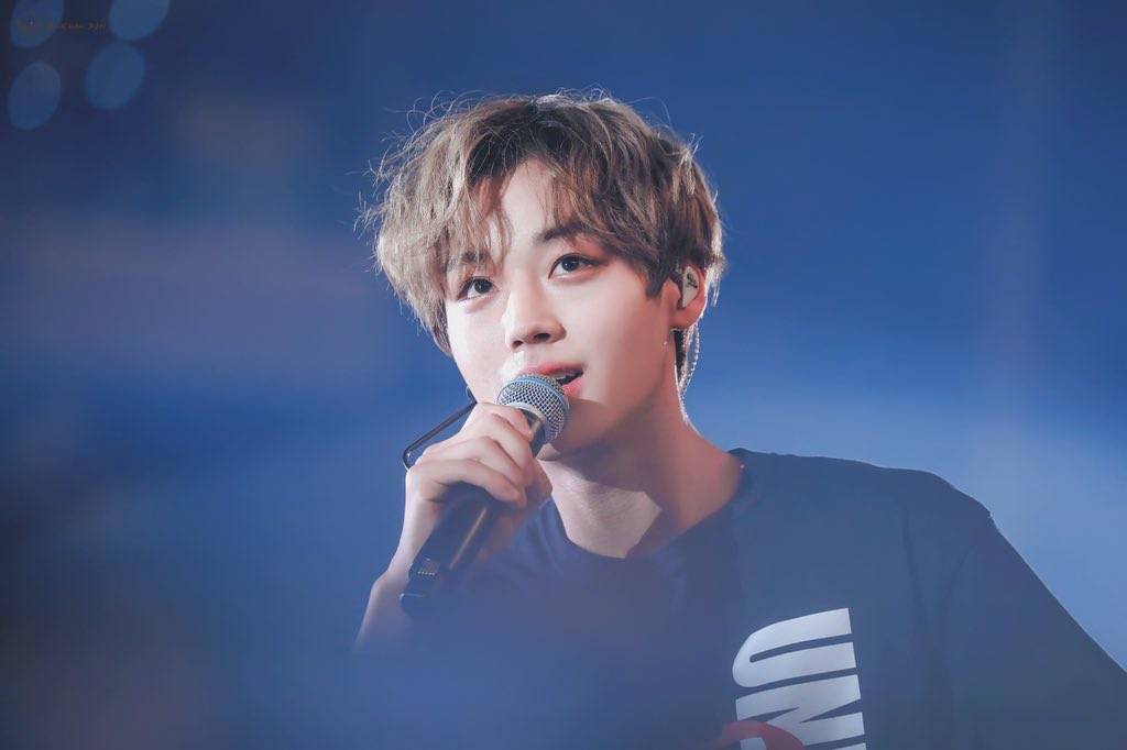 朴志训190127 wanna one therefore con day4高清壁纸/聊天背景/壁纸.