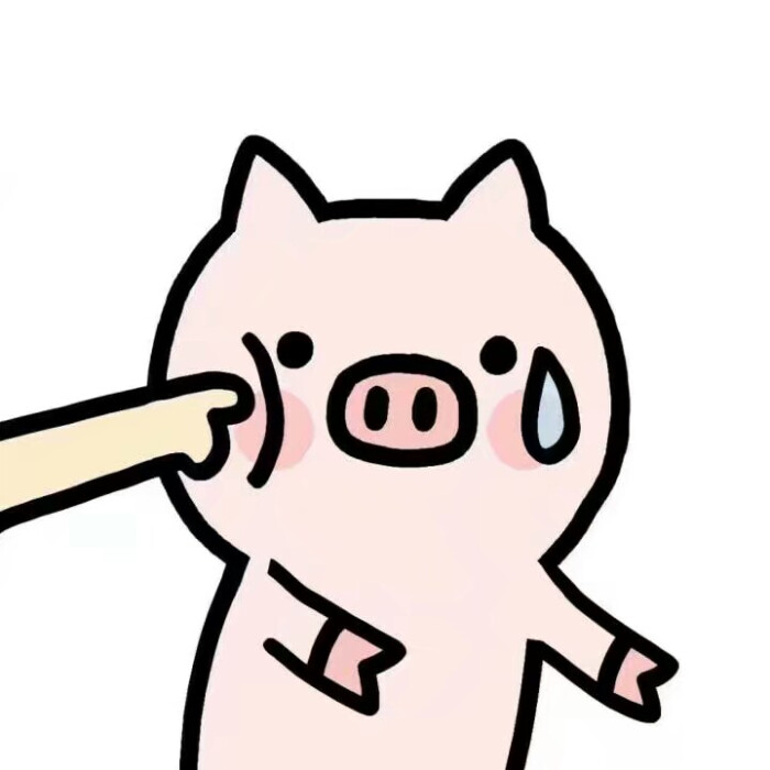 九宫格 猪猪 猪年大吉