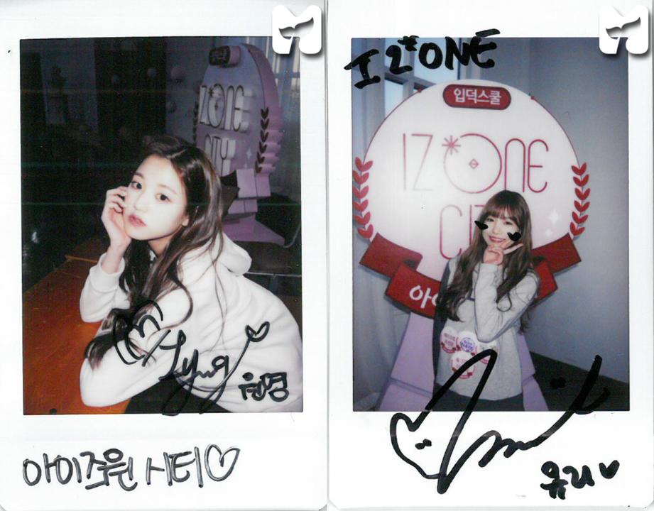izone/张员瑛/张元英/小圆/wonyoung/北极兔/忙内/wink/张员外/iz*one