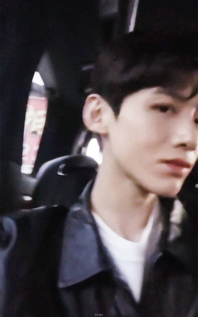 白敬亭 