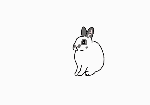 小兔叽动图 