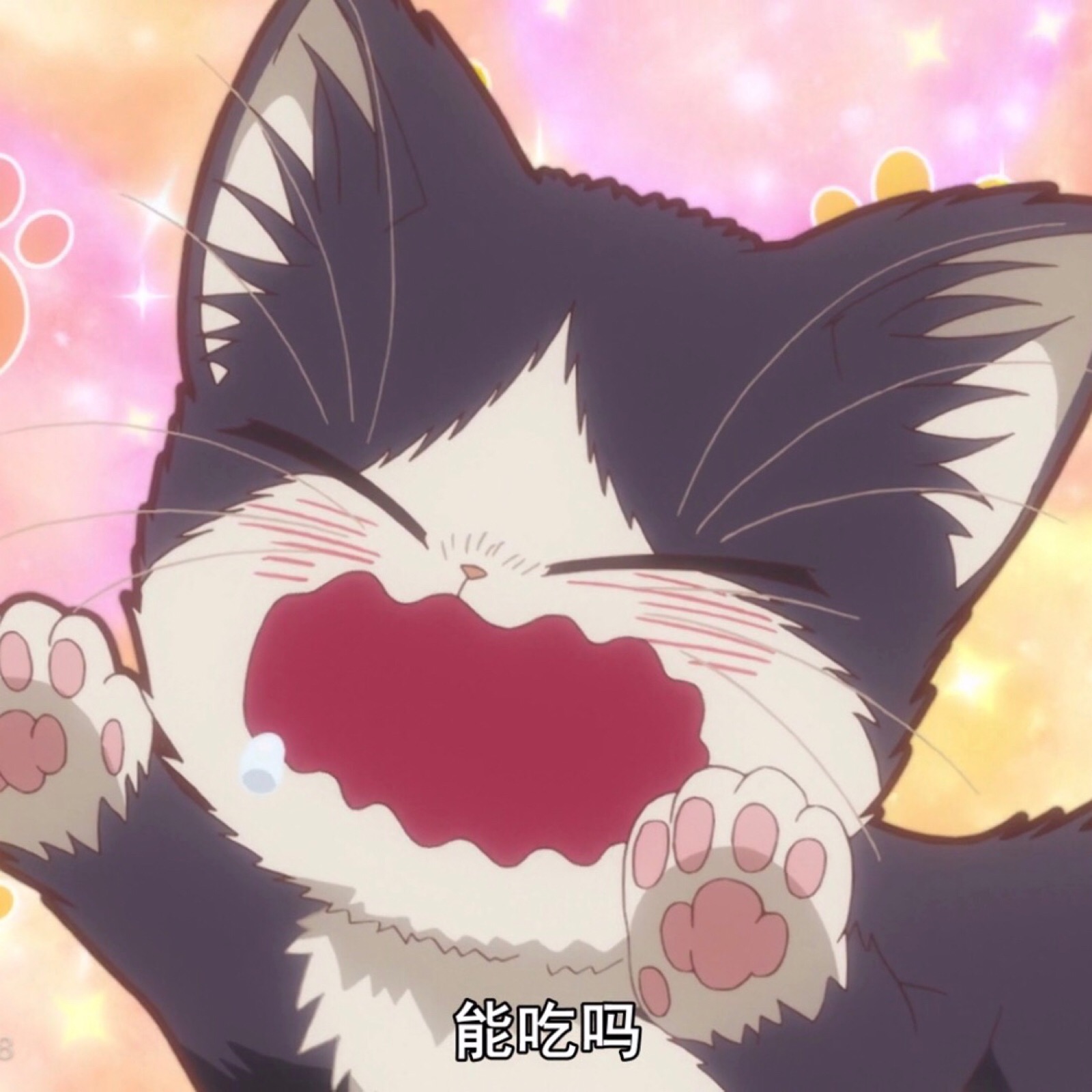 《同居人是猫》