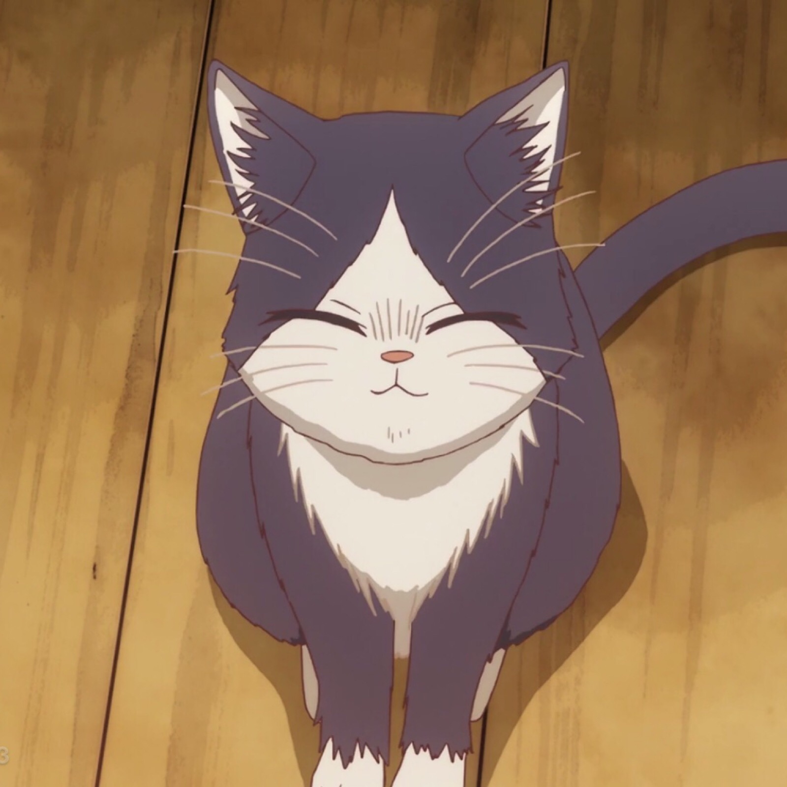 《同居人是猫》