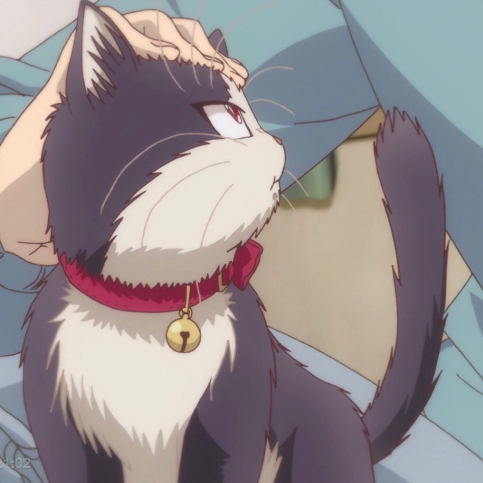 《同居人是猫》