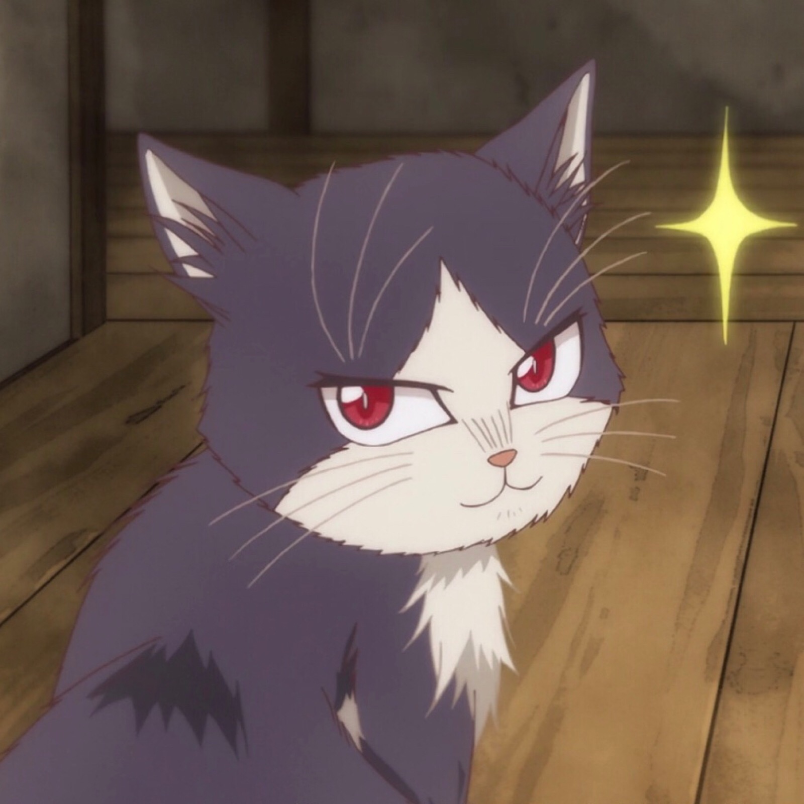 《同居人是猫》
