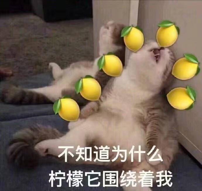今日份表情包(好的我酸辽)