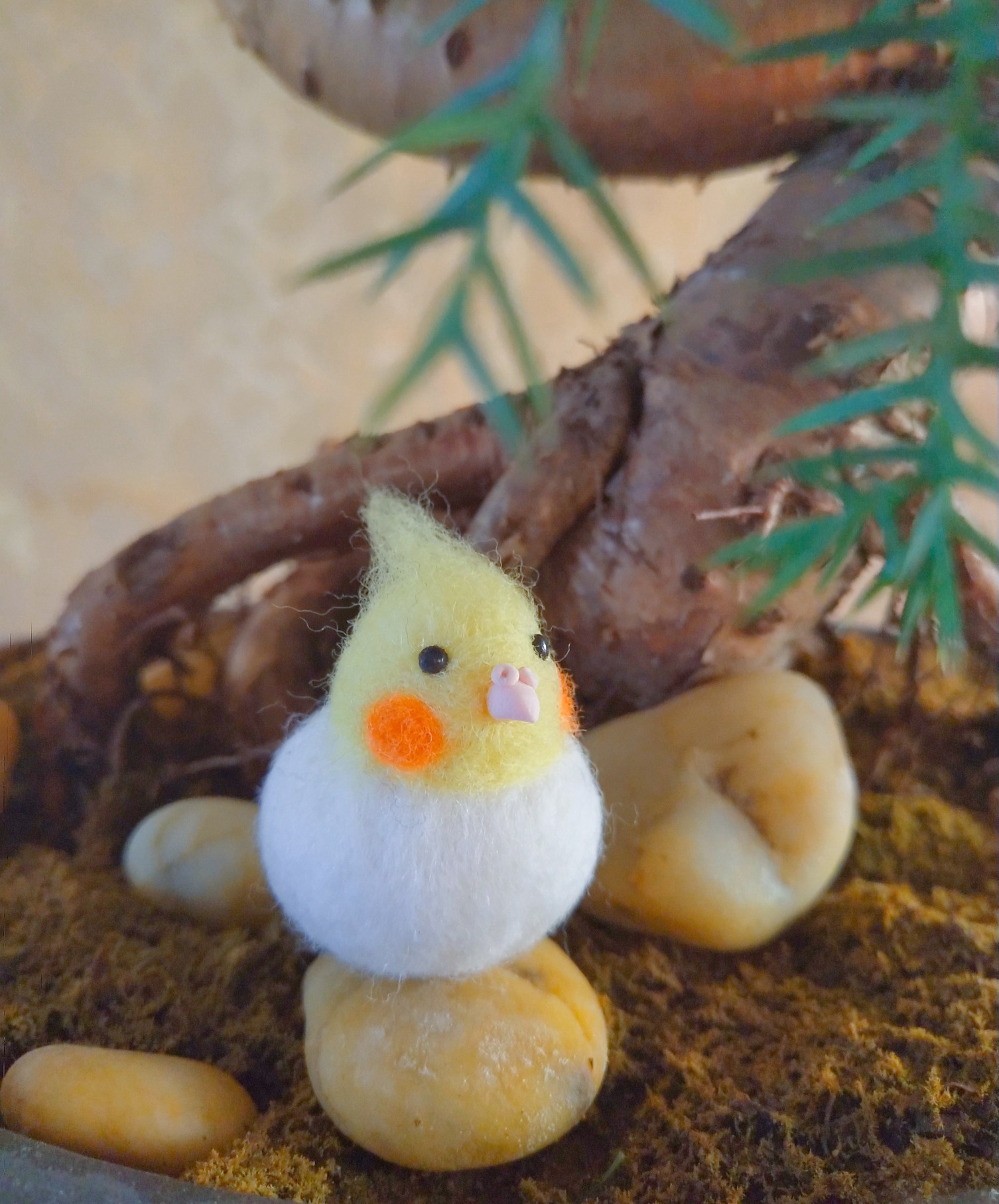 羊毛毡可爱的小玄 玄凤鹦鹉-堆糖,美好生活研究所