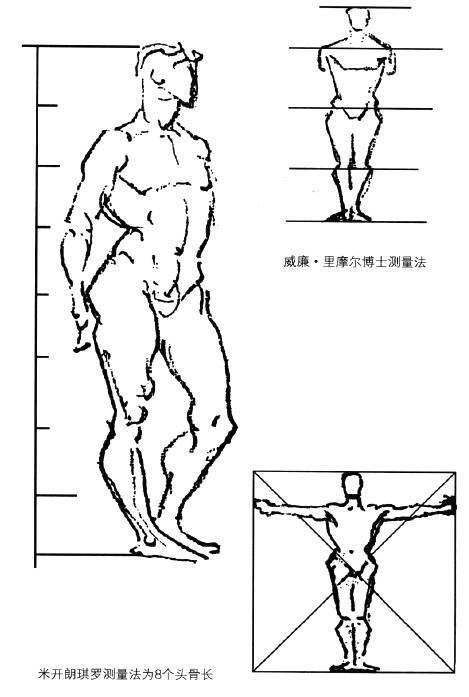 转载至《伯里曼人体结构绘画教学》