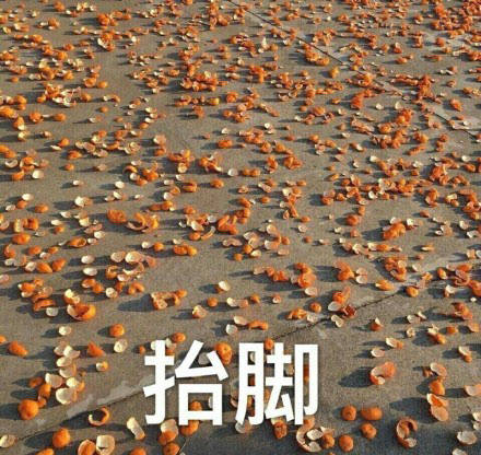 无系列单图战斗力爆喜欢情,老规矩有表表你好表情包人品的图片