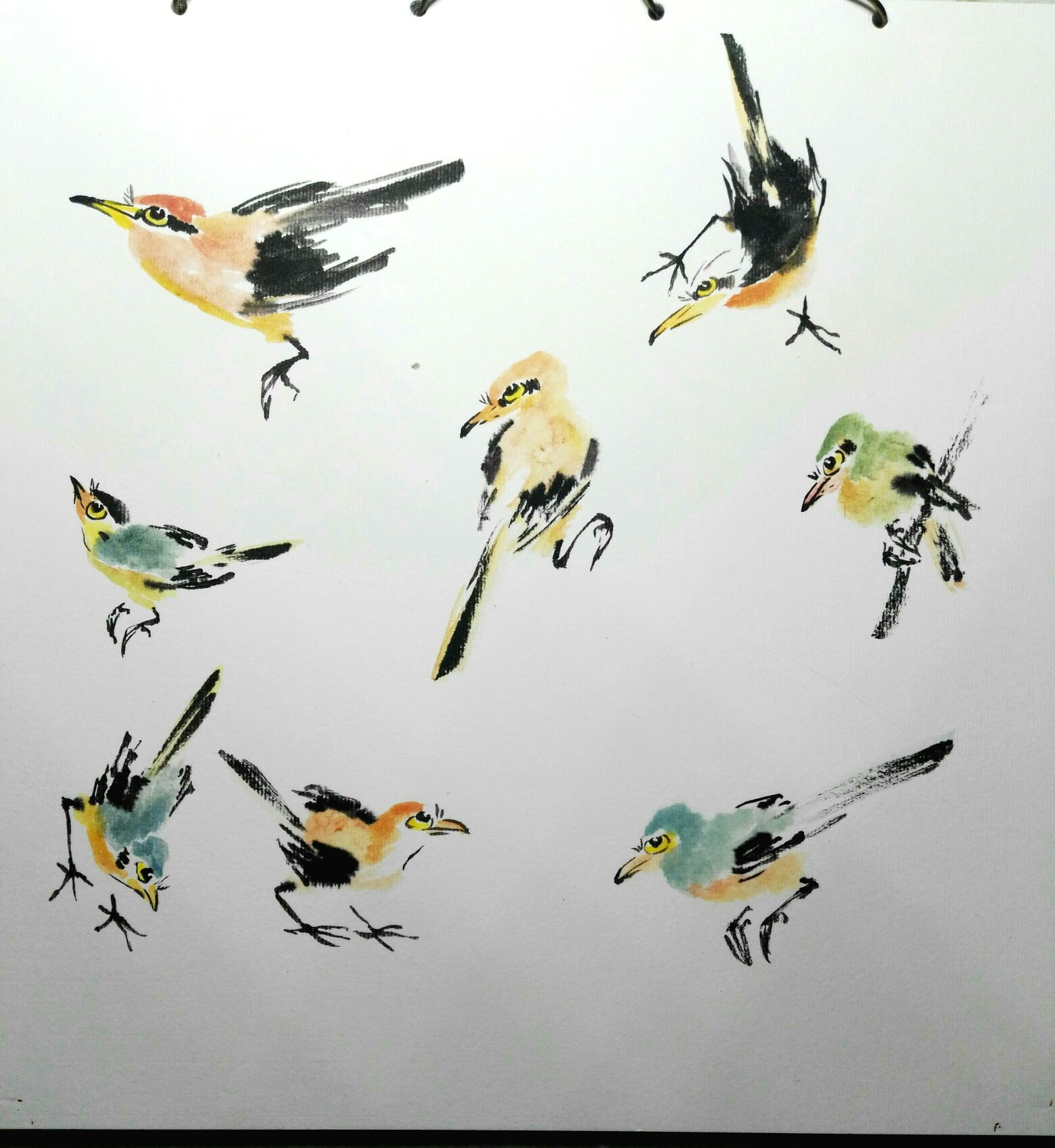《写意鸟》