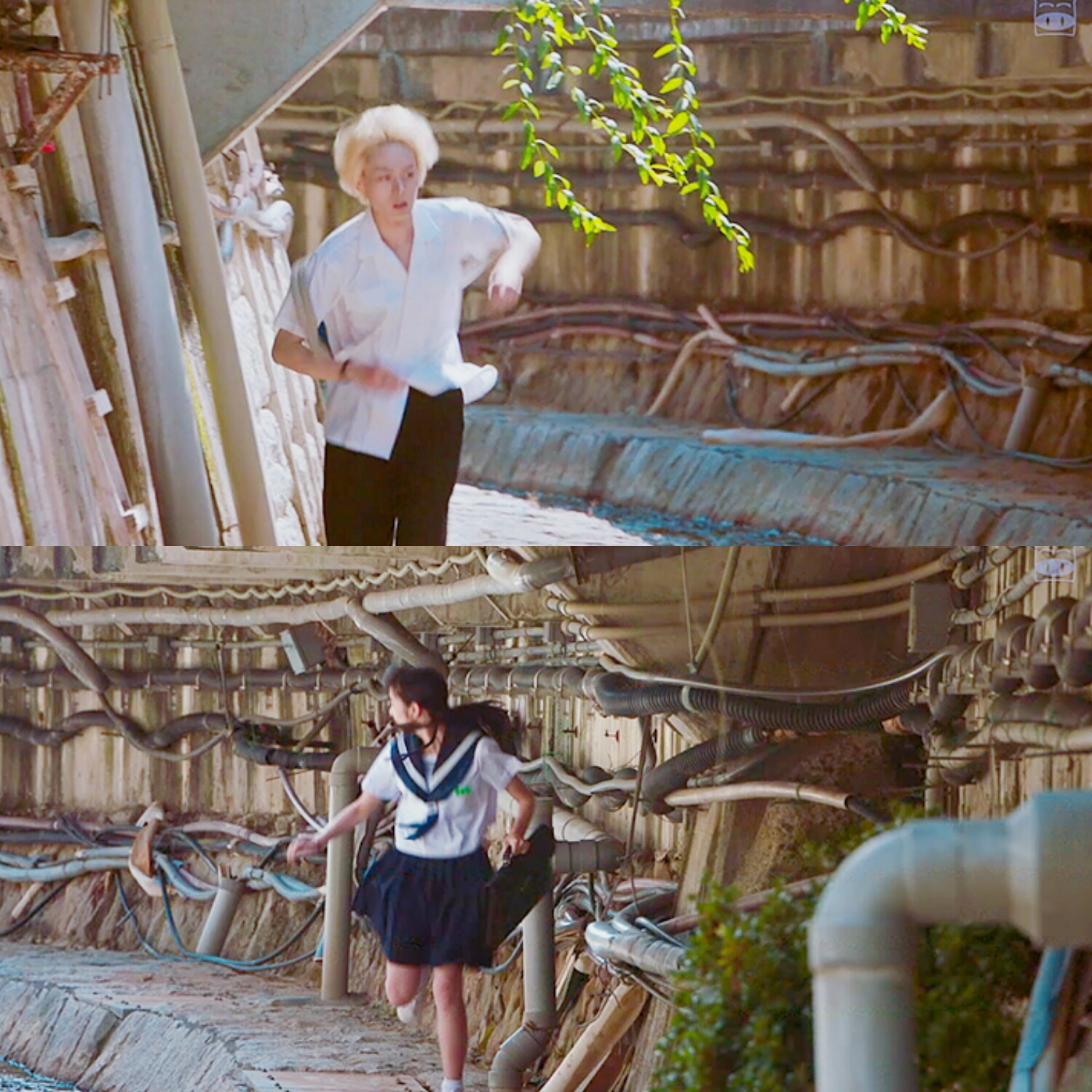 "森林是我的,她也是我的"——阿航《溺水小刀》