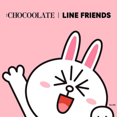 line friends 布朗熊brown choco 可妮兔cony 莎莉鸡sally 馒头人穆恩