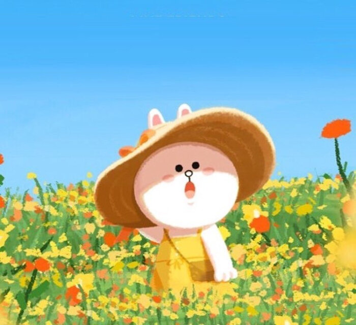 line friends 布朗熊brown choco 可妮兔cony 莎莉鸡sally 馒头人穆恩