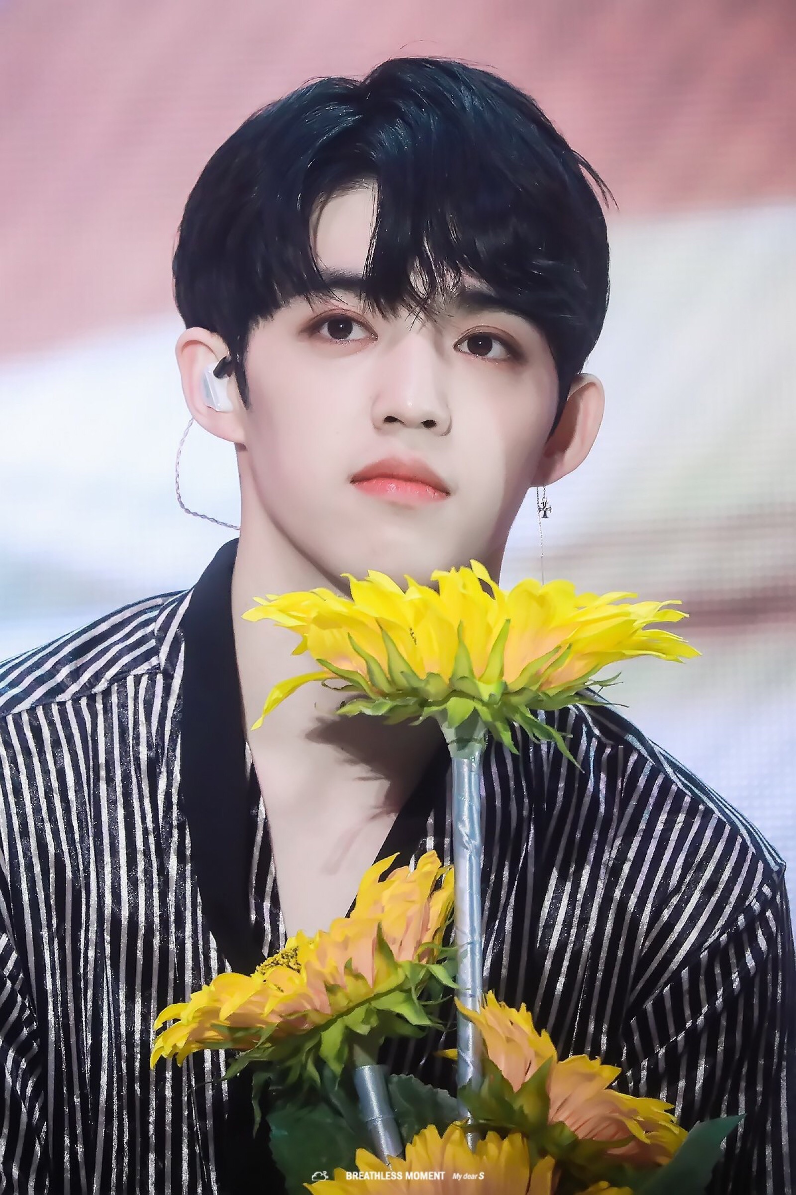 seventeen scoups 崔胜澈