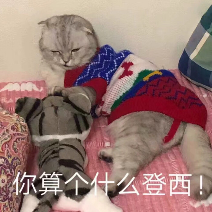 沙雕表情包