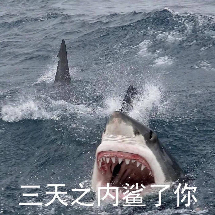 时候的自拍,和几个初中成立了一个泳衣帮,…-堆青龙初中生哥们图片
